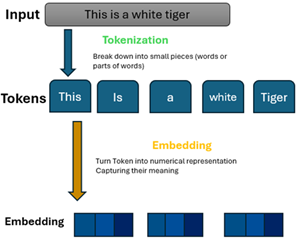Artificial Intelligence Rundown: Large Language Models