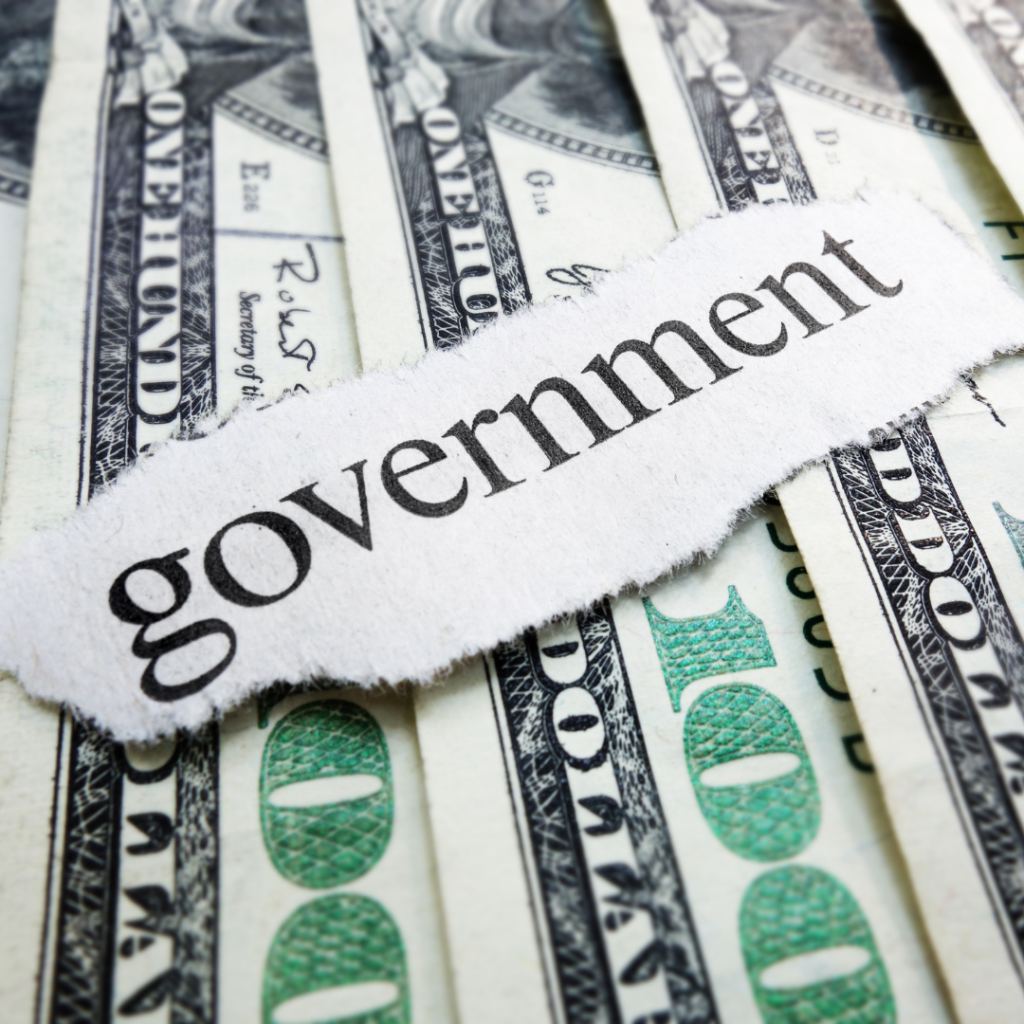 Collier County Annual Budget Development