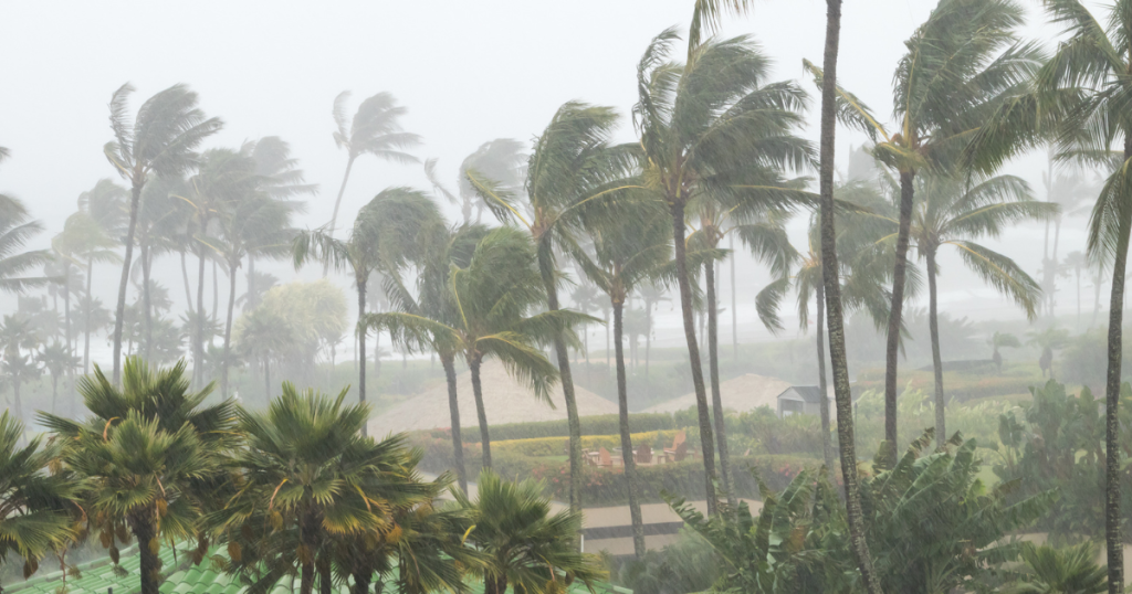 Beware of Post-Hurricane Scams