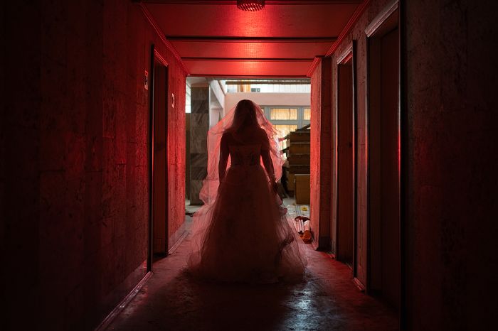 Collier County Clerk Invites You to Tie the Knot this Halloween