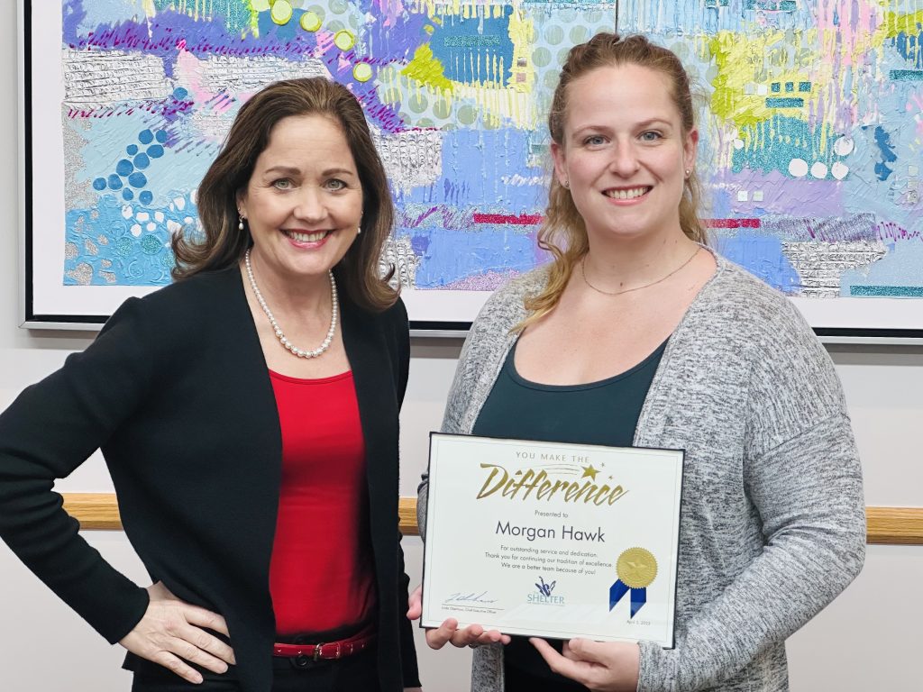 Providing Support and Protecting Victims of Domestic Violence