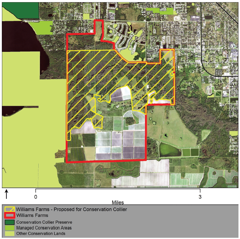 BOCC Approved $20M Purchase of Williams Reserve at Immokalee